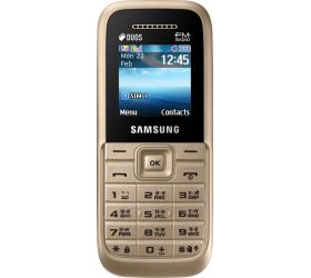 Samsung Guru FM Plus Gold image